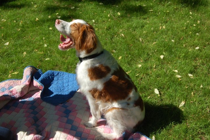 thinking about a nap